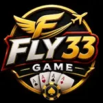 FLY33 Game
